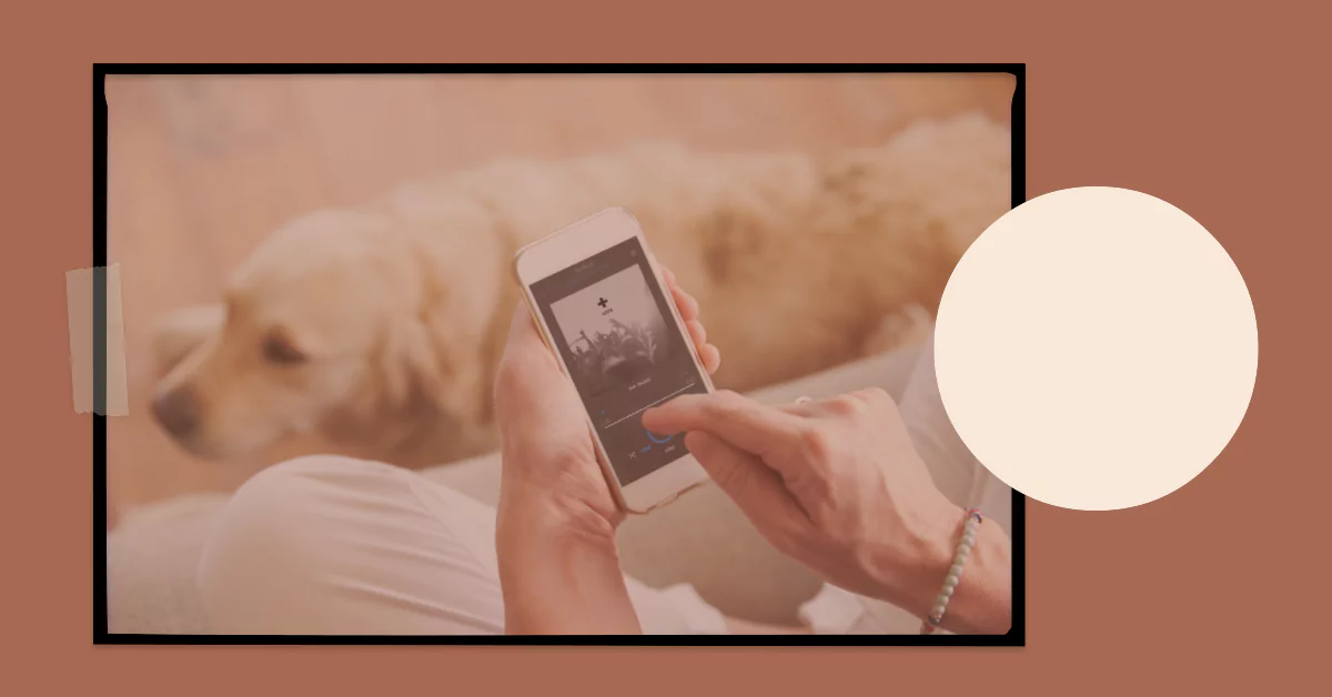 Czy aplikacja Dogo rzeczywiście jest darmowa? Zwierzolubni.pl